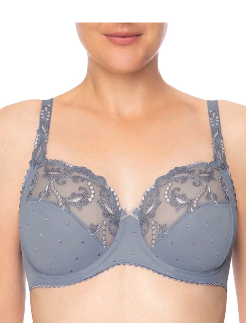 Conturelle 40F Secret Delight Underwire Sheer Bra Pearl Grey Blue